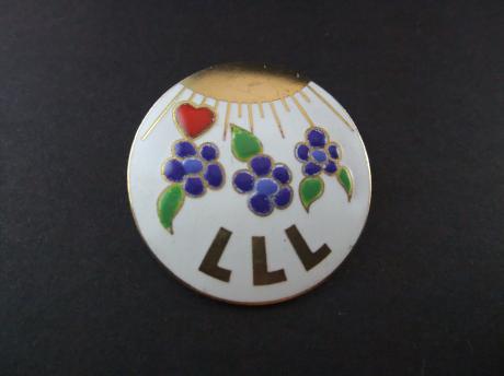 Licht liefde en leven(huishoudschool) Den haag